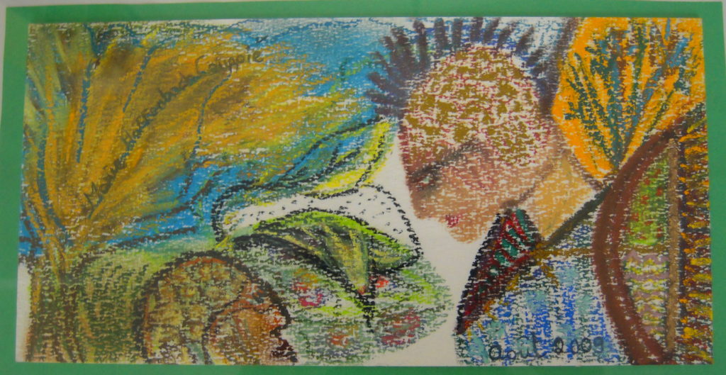 'Iroquois Août 2009 (3) 26x13